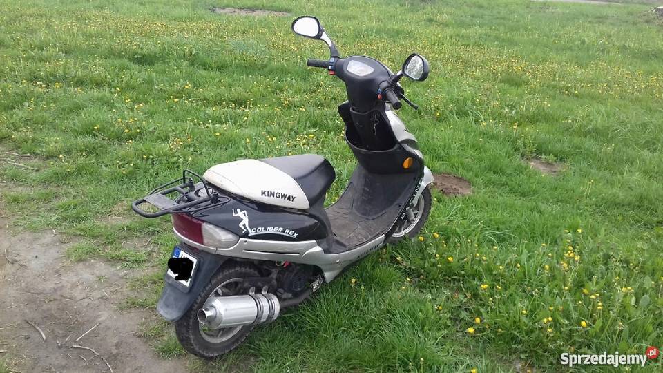 Kingway coliber rex Załuski sprzedam
