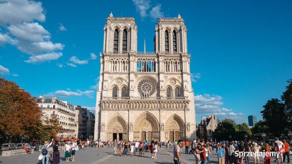 Katedra Notre Dame w Paryżu Jeśień obraz olejny Malarstwo Warszawa