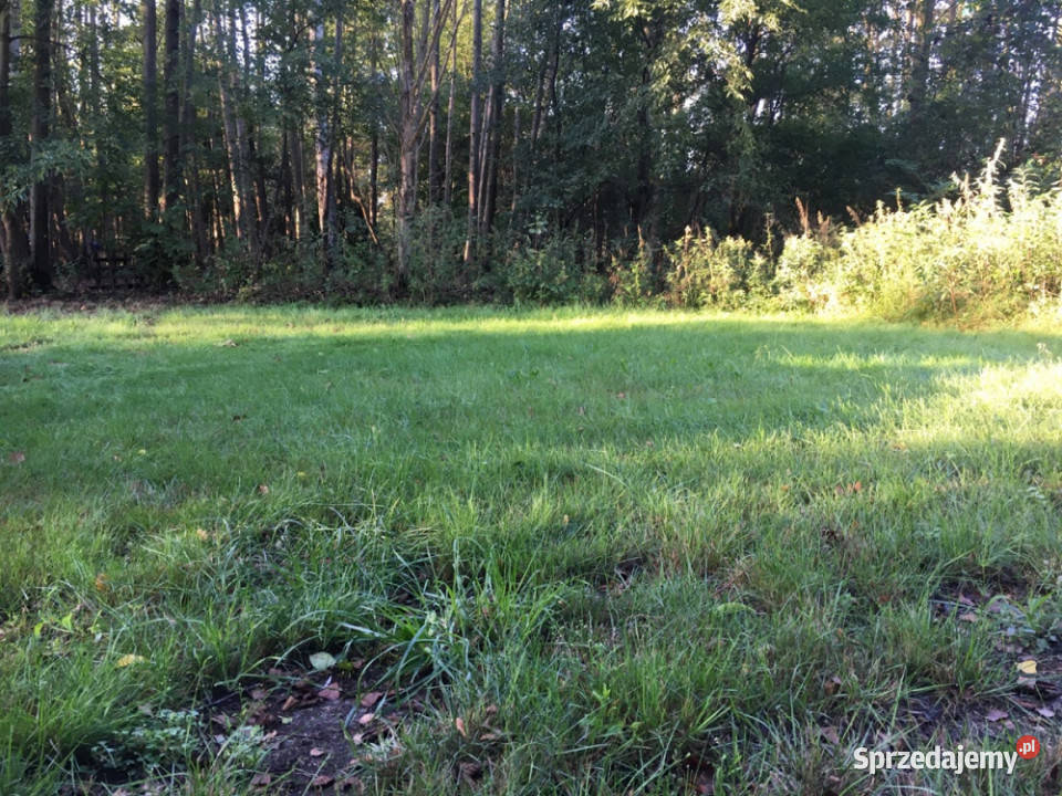 Działka pod zabudowę jednorodzinną 5057 m Mariew mazowieckie sprzedam