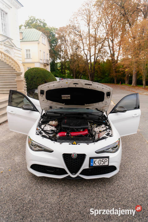 Alfa Romeo Guilia 2019 45kkm zadbana Kraków sprzedam