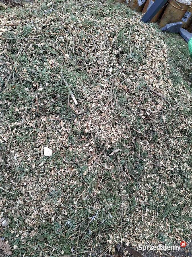 Sprzedam zrębki drewniane Kora mazowieckie Warka