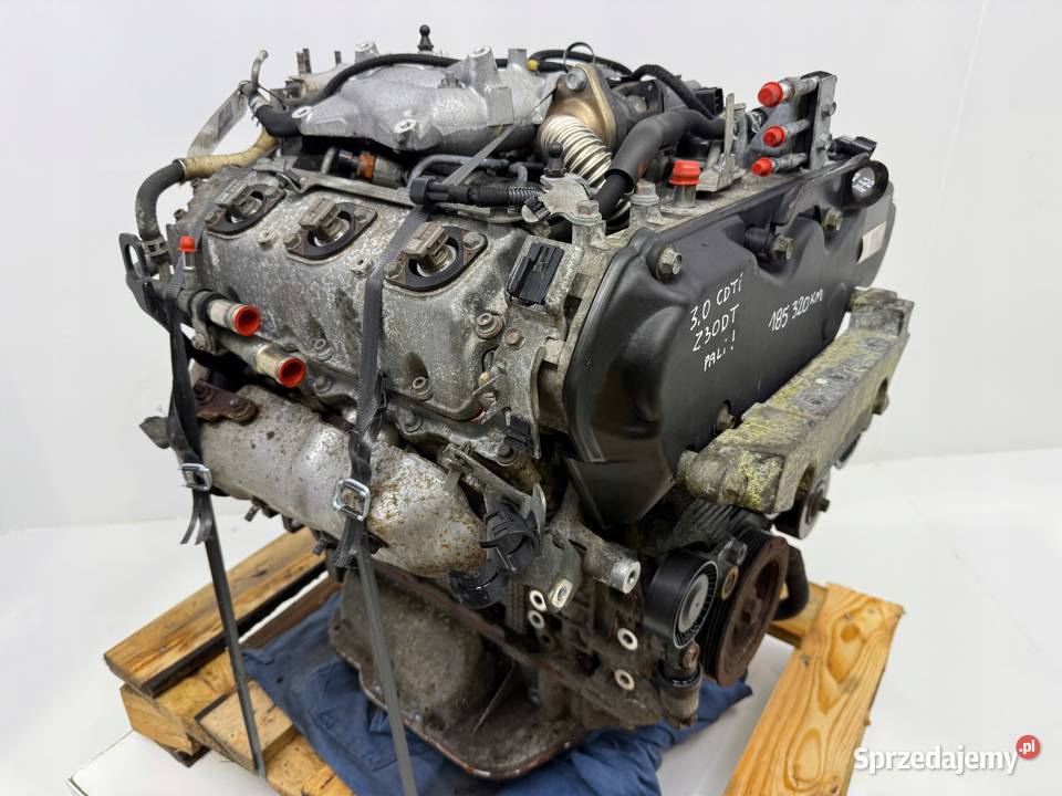 SILNIK Z30DT Opel Signum Vectra C 30 CDTI V6 184 osobowe lubelskie Chełm