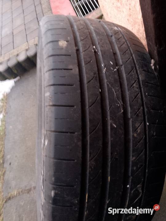 OPONY LETNIE CONTINENTAL 18 Samochodowe Osiek