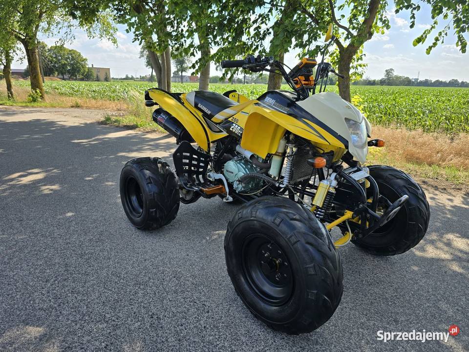 Quad Bashan 200250cc Duża Rama 41R Ciecz