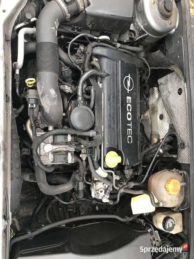 Sprzedam Katalizator Opel Vectra 2 2 Direct Mogilno Sprzedajemy Pl