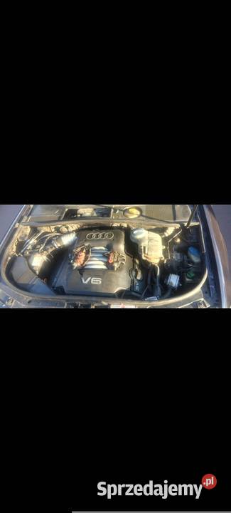 Audi a6c5 24 na dojazdy do pracy Elbląg