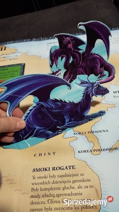 wielka księga smoki w środku plakietki Książki dla dzieci Poznań