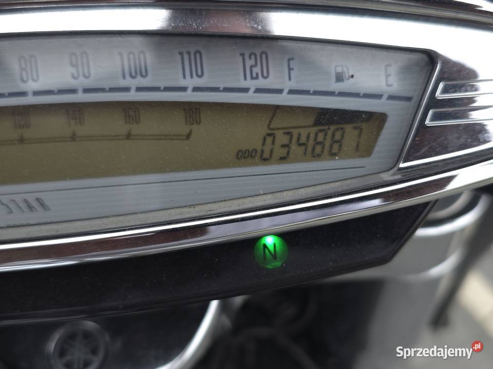 JEDYNY W SWOIM RODZAJU Kaleń