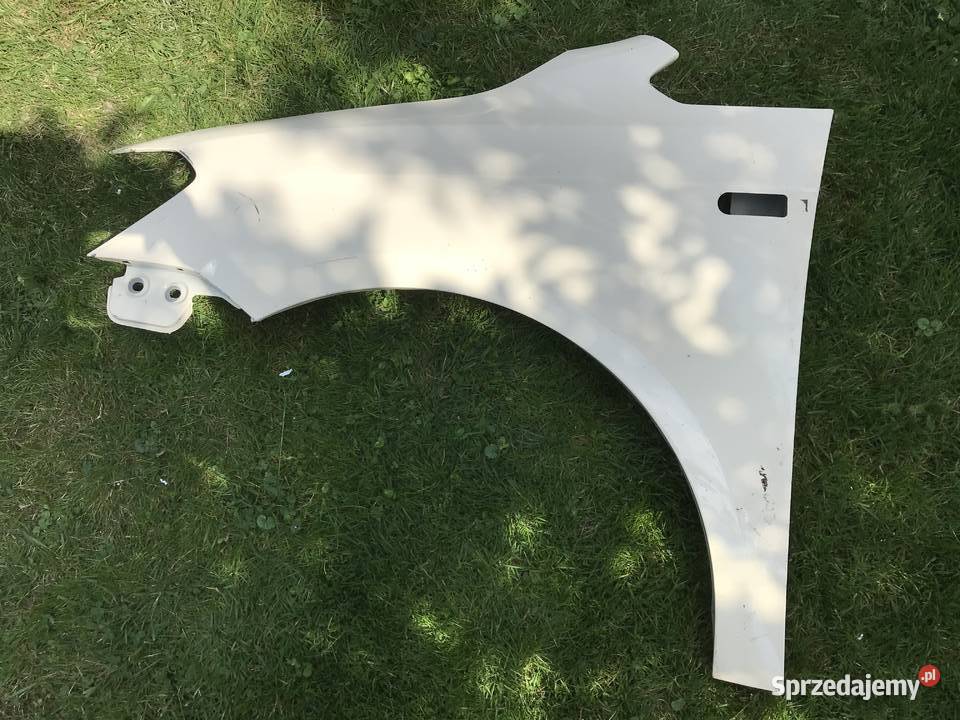 Błotnk samochodowy Mnich