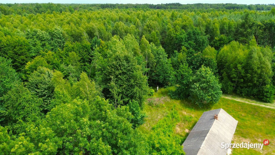 Grunt Stanisławów 21100m2