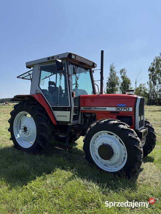 Massey Ferguson 3070 Stare Piaski sprzedam