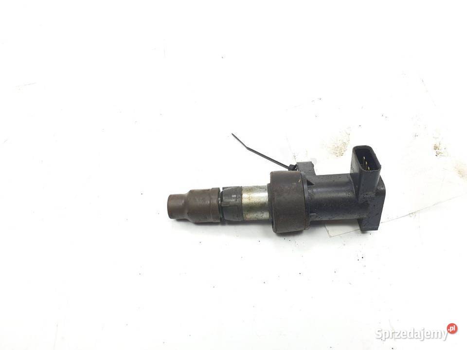 CEWKA ZAPŁONOWA JAGUAR XF 6R8312A366BA Pozostałe Lipno