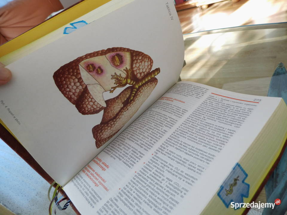 Zdrowie domowe Książka oprawiona w skórę Prezent Radzewice