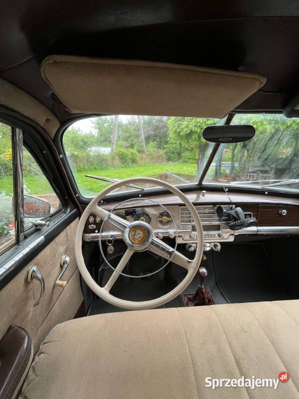 Piękny niespotykany Syców