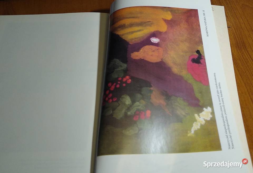 Diagnostyka edukacyjna materiały z konferencji Książki naukowe i popularnonaukowe Gdańsk