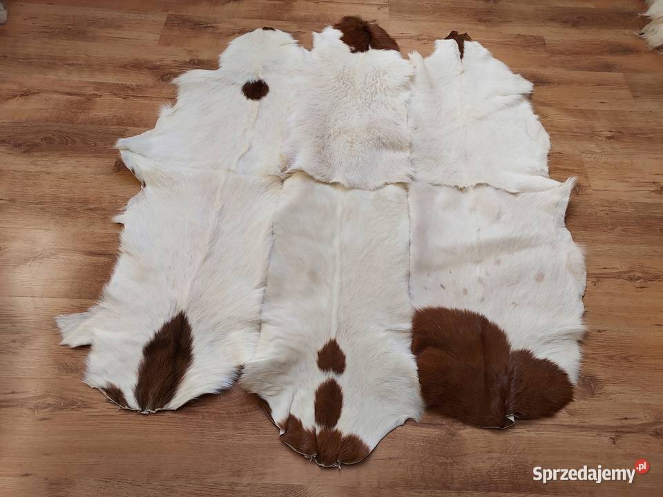 Dywan Skórzany z Naturalnych Kozich Skór 100