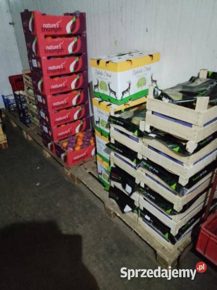 Sprzedam Hurtownie Warzyw Owoców Gotowy Biznes Pozostałe Kłobuck