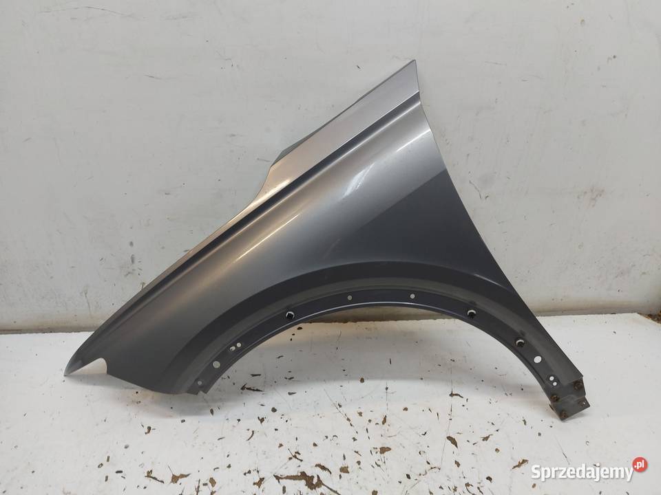 Audi Q4 ETRON 89A 89E BŁOTNIK LEWY PRZÓD kolor