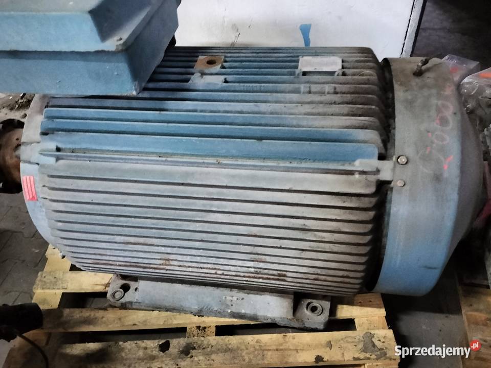 Silnik elektryczny 315kw Toruń