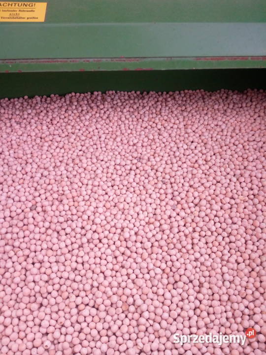 groch groszek siewny Pińczów sprzedam