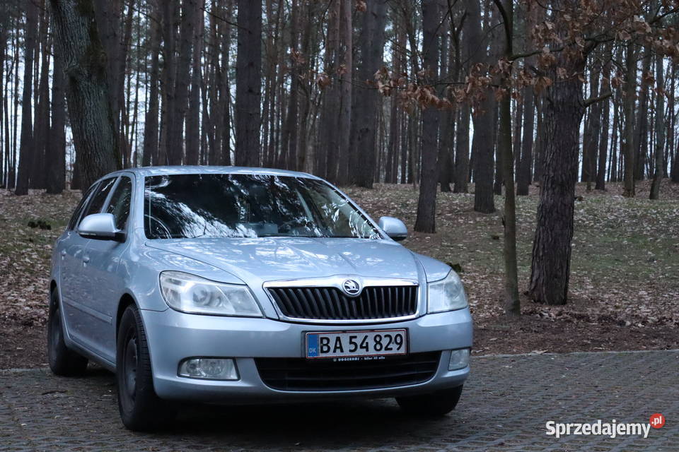 Skoda Octavia Greenline 16 TDI 450000km Octavia