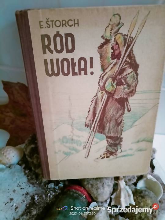 Ród woła Storch książki Warszawa księgarnia Rok wydania 1956 mazowieckie