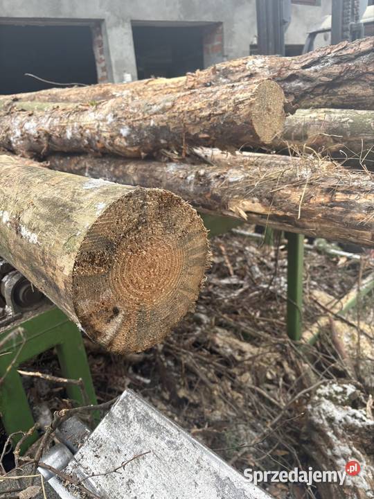 Drewno kominkowe i opałowe Ogrzewanie łódzkie Kamieńsk