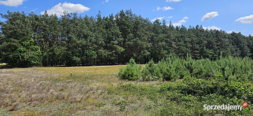 Działka bud 1090M2 1341M2 Nowa Wola mazowieckie Radom sprzedam
