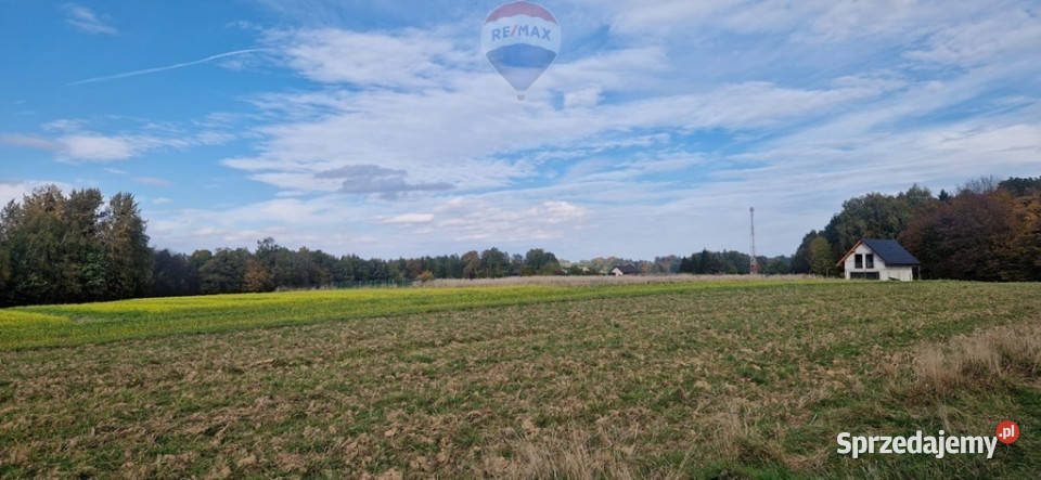 Działka rolna i las w gratisie utwardzona Nieruchomości Kończyce Wielkie