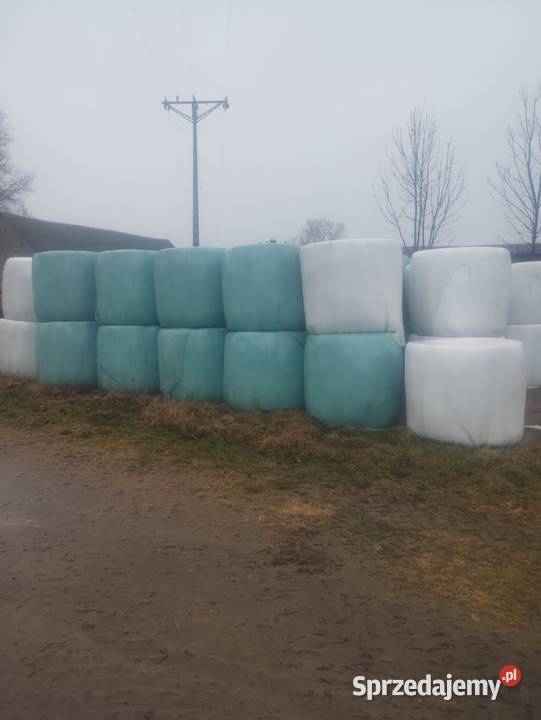 Sianokiszonka 125 dobrze zbita