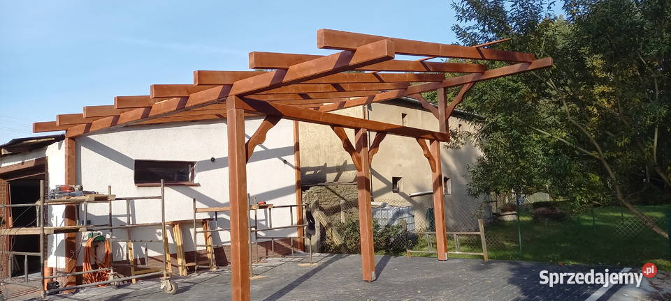 kantówki szkielet Błotnica Strzelecka sprzedam