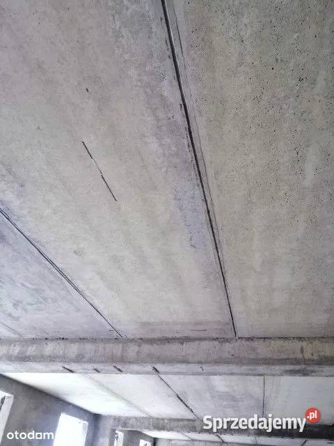 Blok Budynek Działka Deweloperska 6000m2 Borne