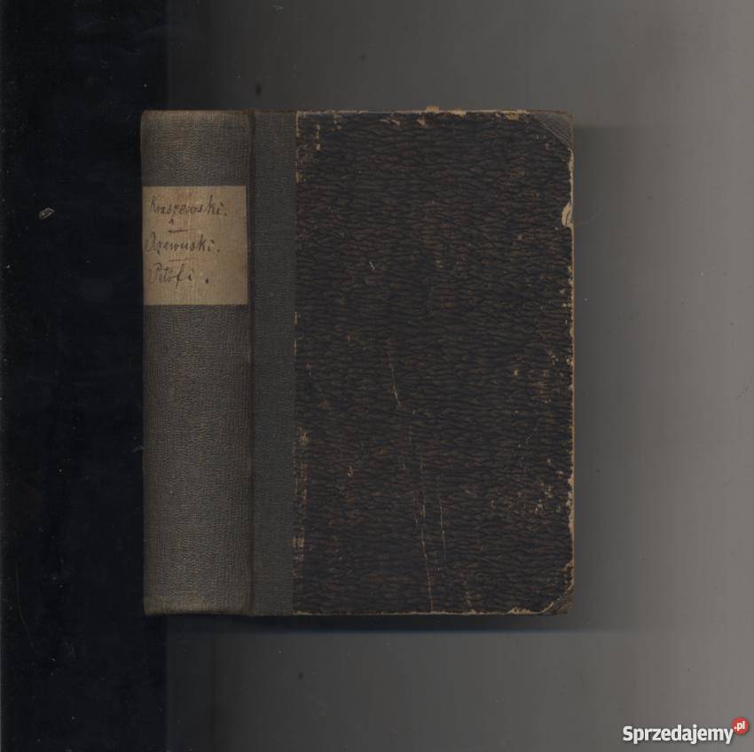 Jermola der Topfer Pan Severin Soplica Der Szczecin