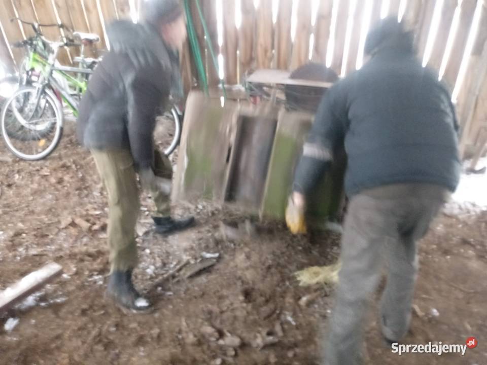 Stara młocarnia do ziarna lubelskie