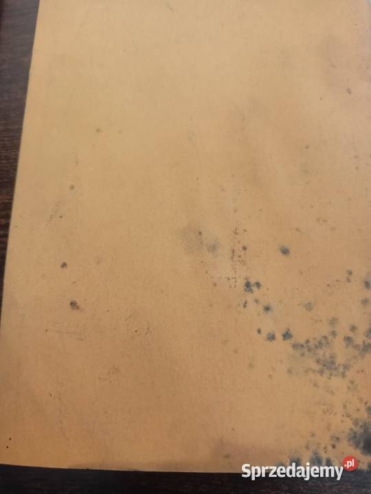 Harley Single A B AA BA AAE Export Bydgoszcz