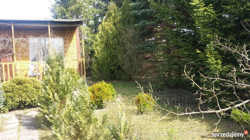 Działka Reakreacyjna325m ROD Pogodny Kalisz Grunty i działki