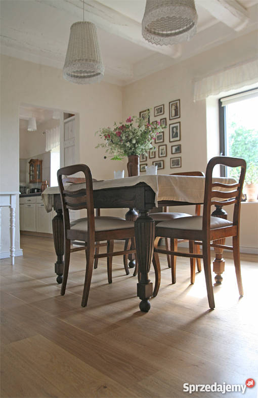 Dom jeziorem w okolicach Poznania piwnica Potrzanowo