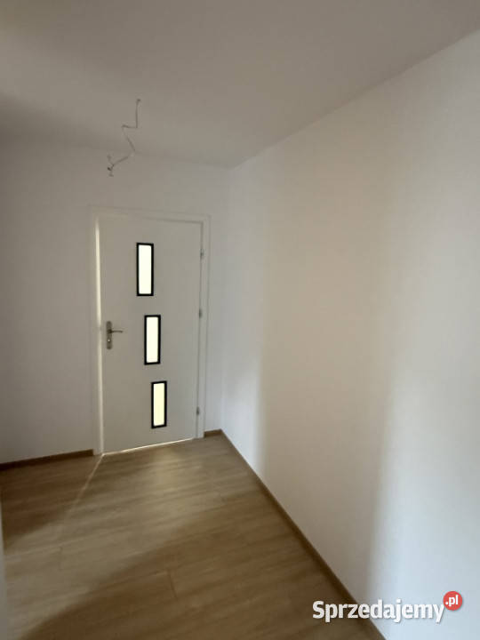 Do wynajęcia mieszkanie w ścisłym centrum Kraków