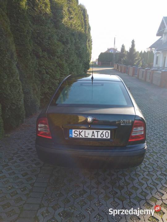 SKODA OCTAVIA ICE bezwypadkowy poliski salon Kalisz