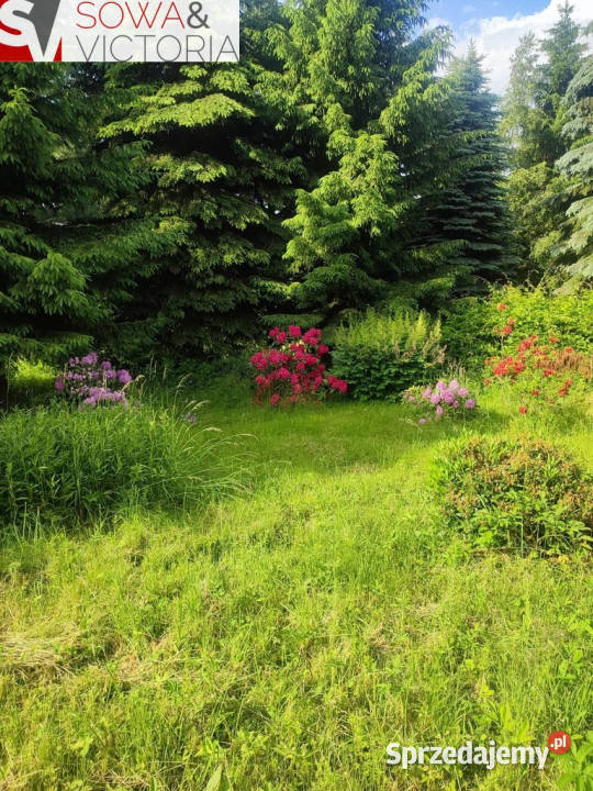 Urocza działka w górach z pieknym ogrodem Sprzedaż Walim sprzedam