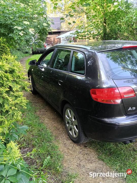 Audi A3 Sportback 19 TDI 2006 Kamień sprzedam