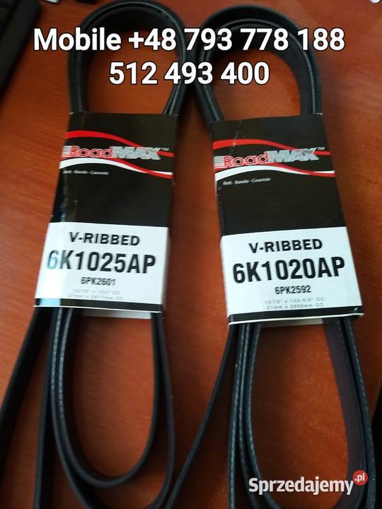 PASEK WIELOROWKOWY PONTIAC TRANS SPORT 38 V 6