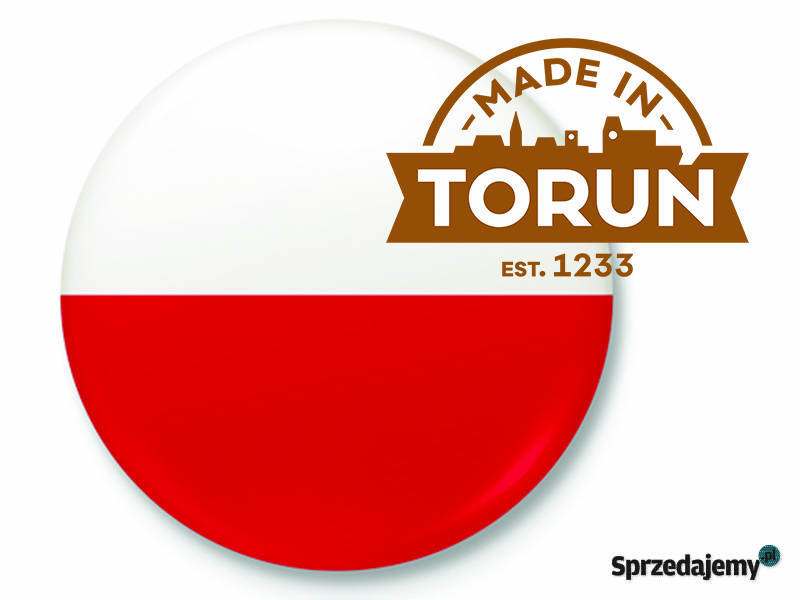 Rower ELEKTRYCZNY ebike miejski 26 28 męski kujawsko-pomorskie Toruń