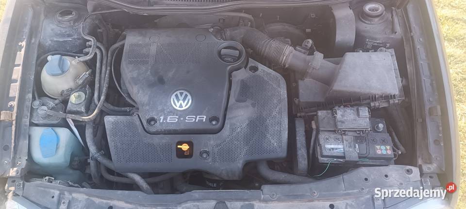 Volkswagen Golf IV Basis 16 Rok produkcji 1999 Samochody na części