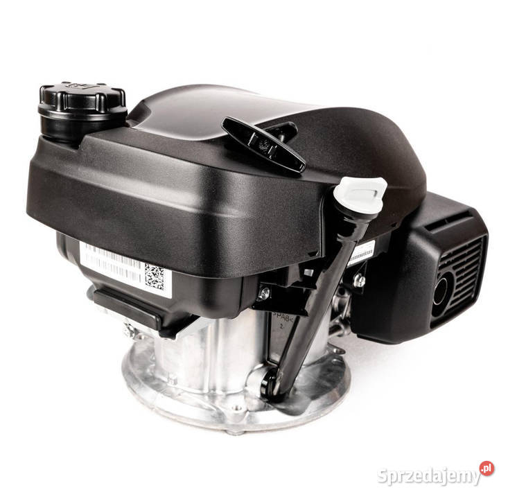 Silnik Honda GCV170 GCV170 Opalenica