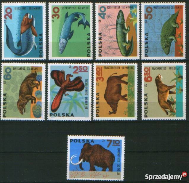 Zn Fi 1506 14 1966 Kolekcje Gliwice