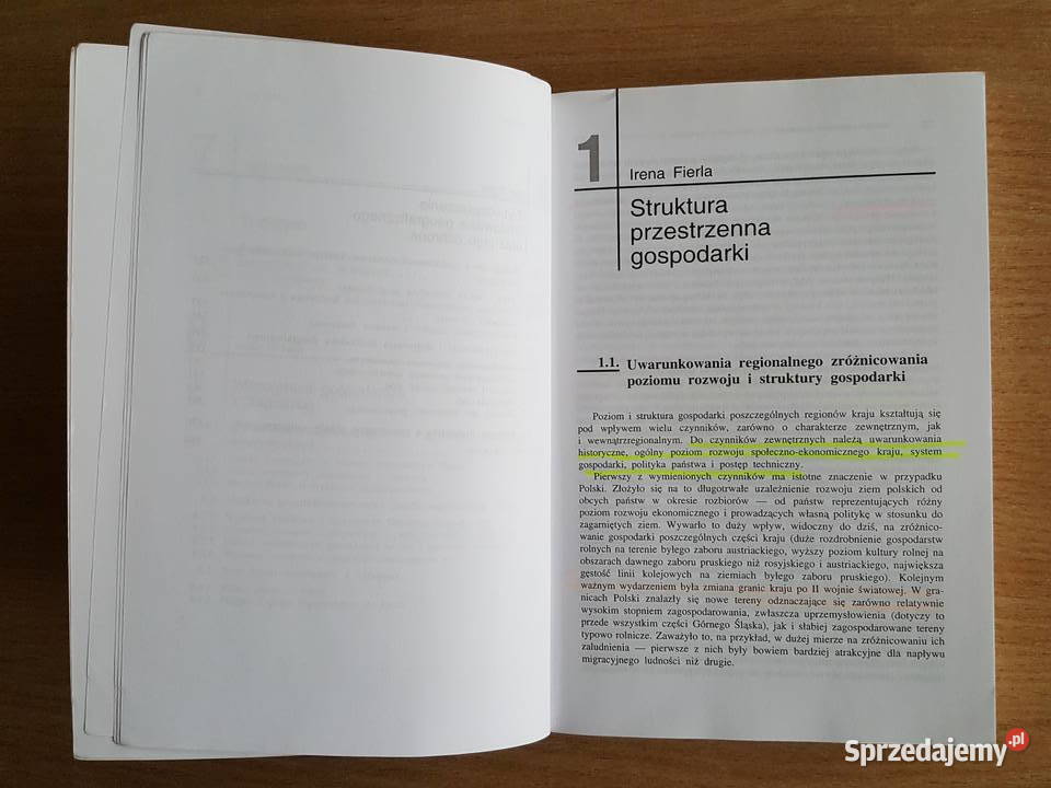 KSIĄŻKA podręcznik Geografia gospodarcza Polski studia wielkopolskie Złotniki