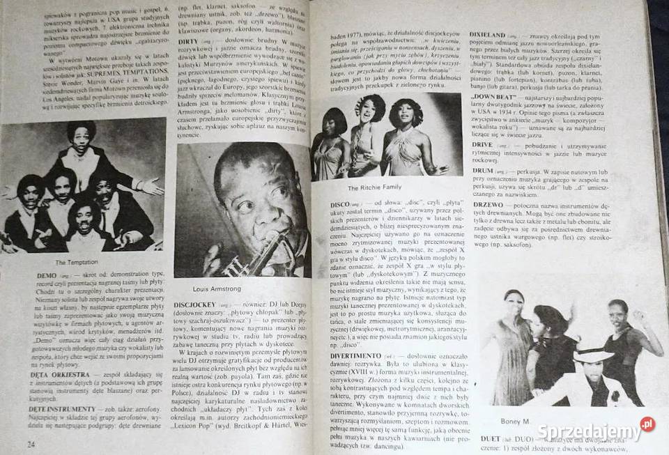 Mały słownik muzyki rozrywkowej Wacław Panek Chełm