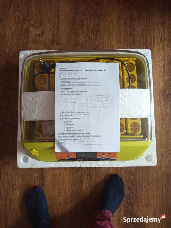 Inkubator OVO automatyczny 42 jaja Tomaszów