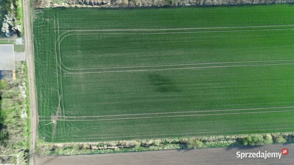 Działka 6000 m2 Milejowice Krajków Żórawina obok rolna